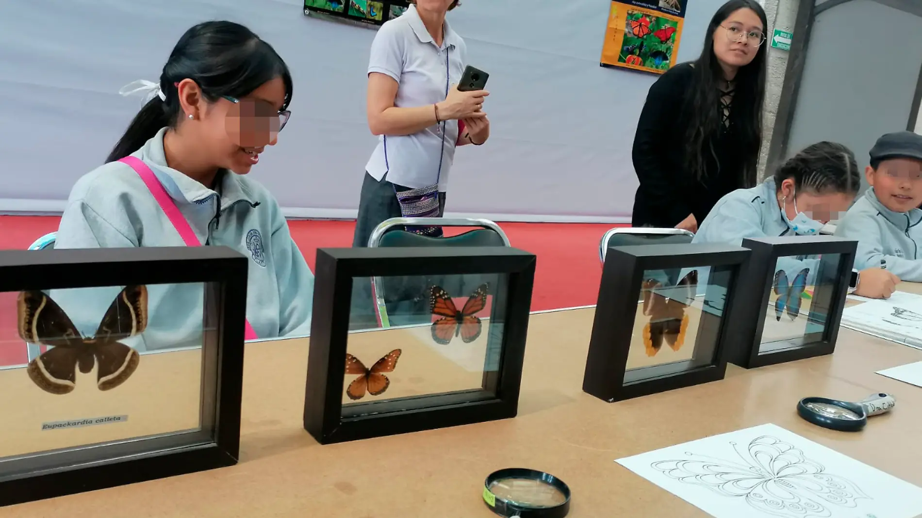 polinización de las mariposas uatx (3) -3-